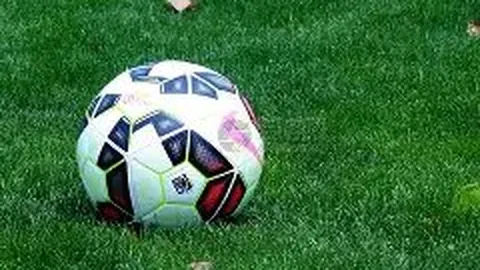 乒乓球世界排名：林诗栋、王楚钦男子单打领先，中国女单包揽四强